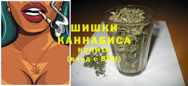 прущий лед Верея