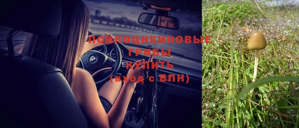 прущий лед Верея